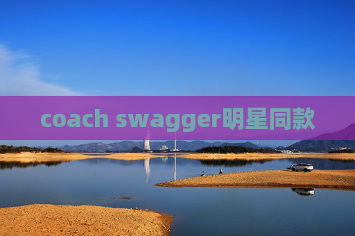 coach swagger明星同款
